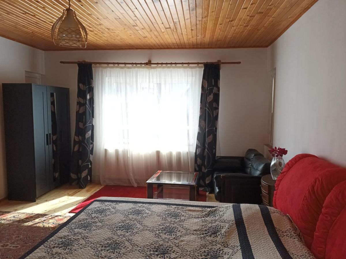 Case de vacanță La Remus *