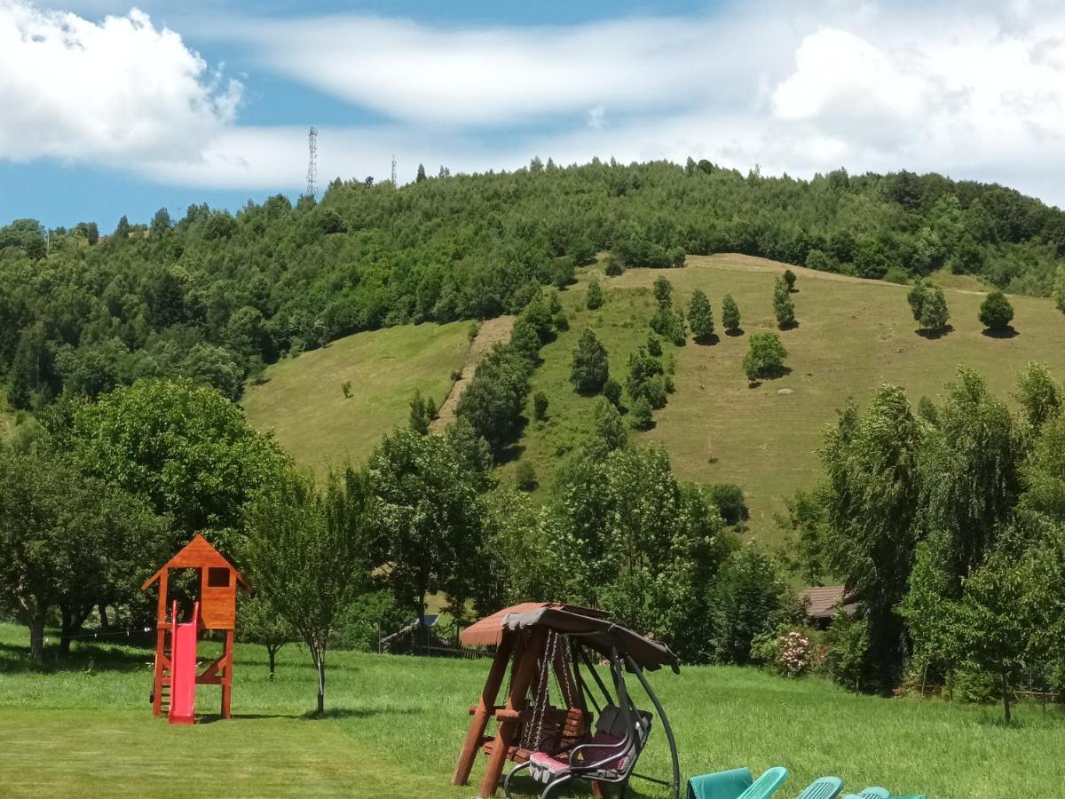 Holiday home La Remus Moieciu de Jos