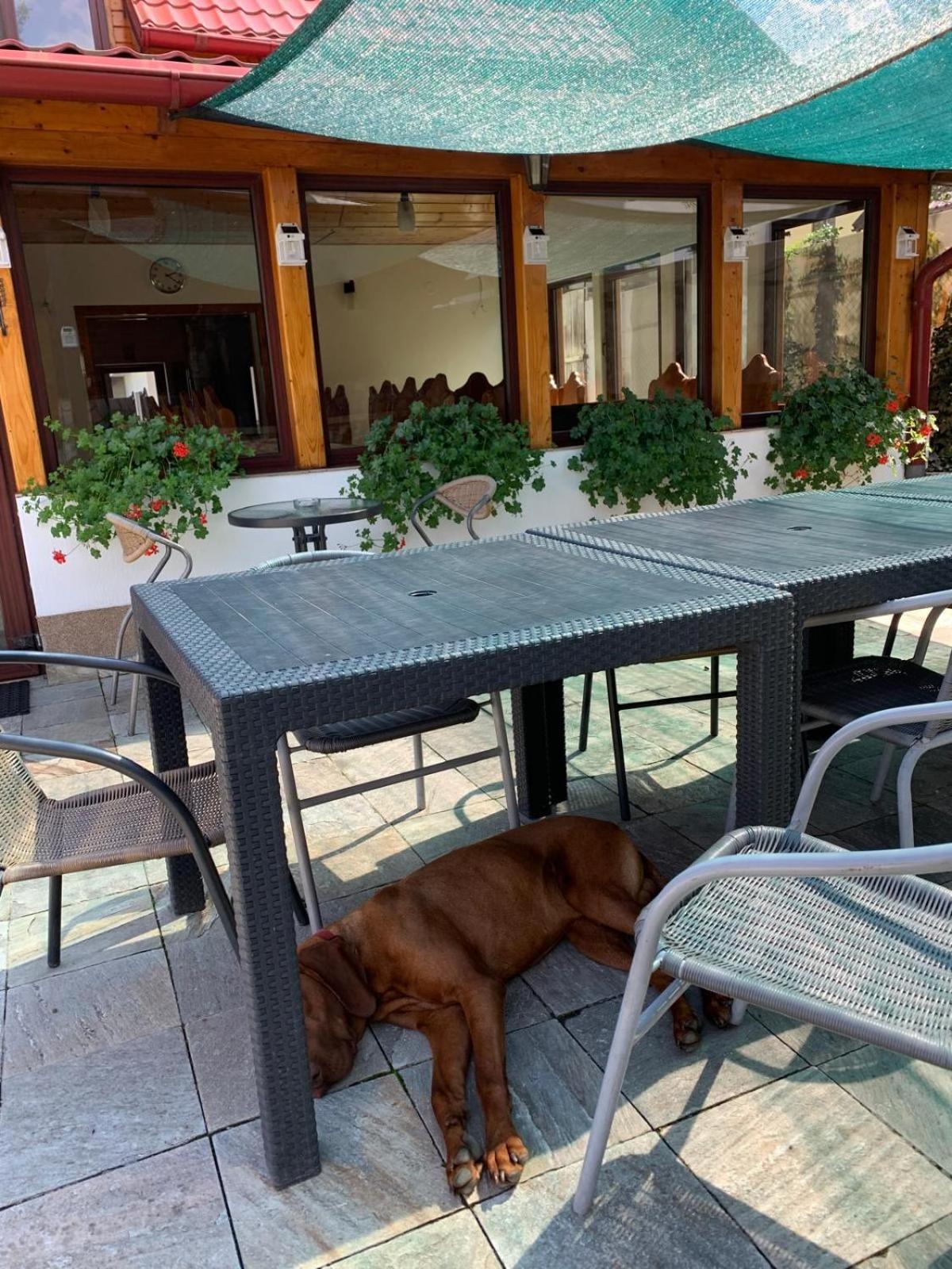 La Remus Holiday home *